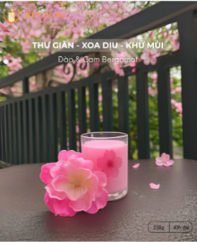 Vote Món Quà Giáng Sinh Yêu Thích – Xem Kết Quả Ngay